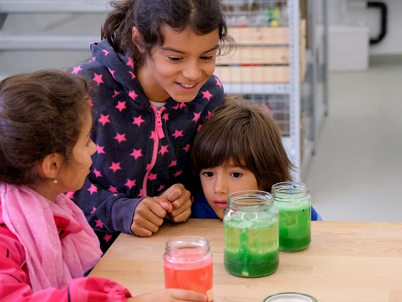 MINT - Region Pongau