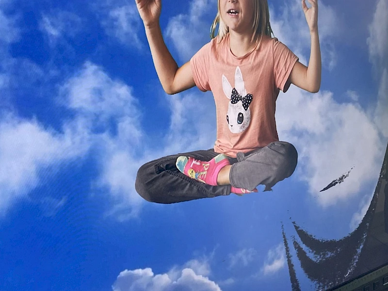 MINT - Region Pongau